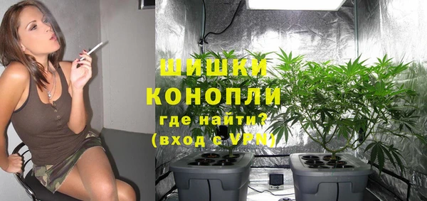 шишки Остров