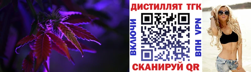 ТГК концентрат  закладки  Почеп 